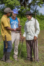 Sharing is caring for the future of forests