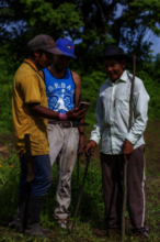Machete project records forestry knowledge