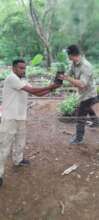 Teamwork and your support make trees grow!