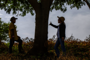 Young person and farmer discuss trees