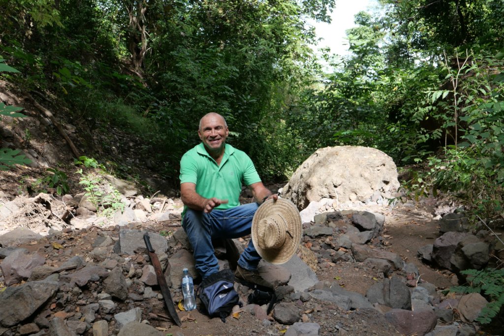 This machete grows trees!