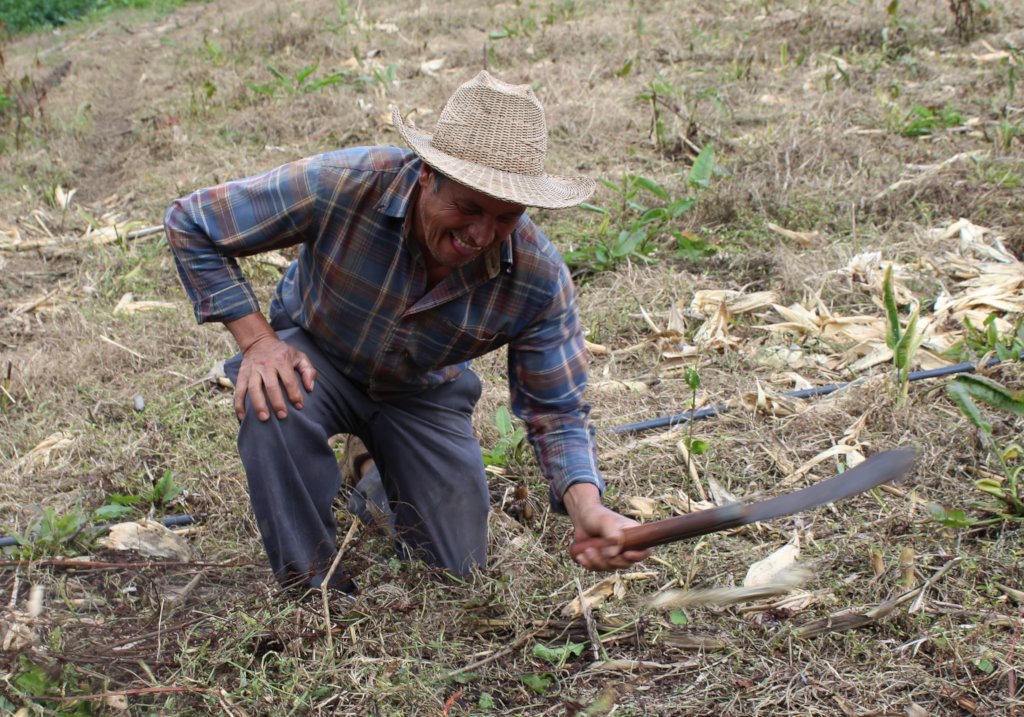 This machete grows trees!