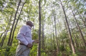 This machete grows trees!