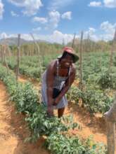 Empowered SHEpreneur...