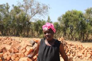 Faith with her bricks for the new house...