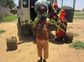 Children help to plant Moringa seedlings