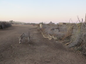 Villages in Darfur are so dry with very few trees