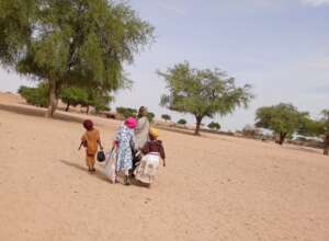 Trees Around the Villages Provide Essential Shade