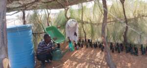 Um Ga'al Tree Nursery Underway