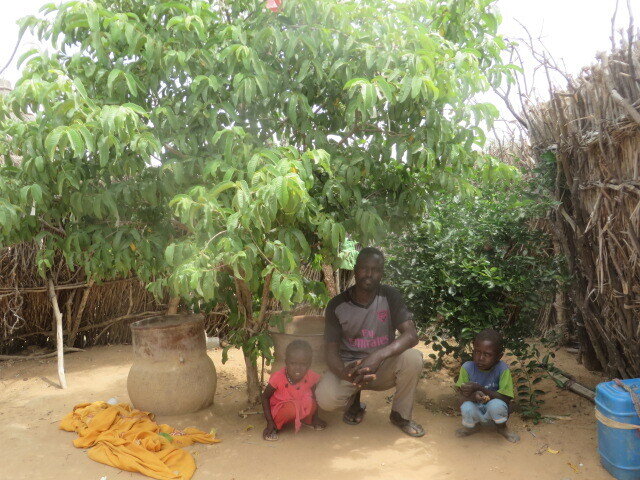 Healing the Desert with Trees in Darfur