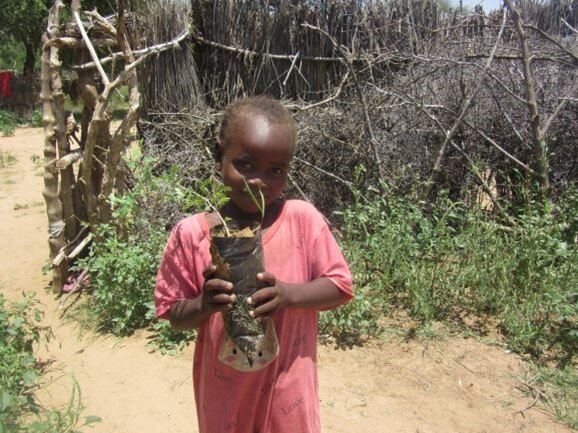 Healing the Desert with Trees in Darfur