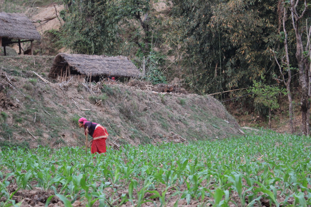Support 200 Nepalese farmers to become food secure