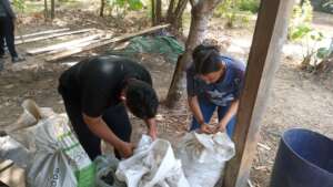 Seed Processing