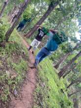 Volunteers carrying saplings to reforest