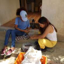 Volunteers processing seeds