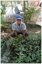 Micro Producer with his mangrove saplings