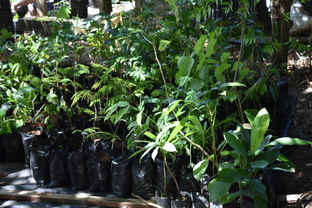 Building Climate Resilient Communities in Azuero