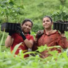 Proud volunteers reforesting Azuero
