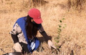 Let's plant 3000 trees in a new park for Santiago