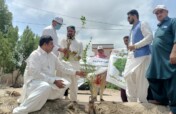 Donate To Save Mother Earth From Climate Change
