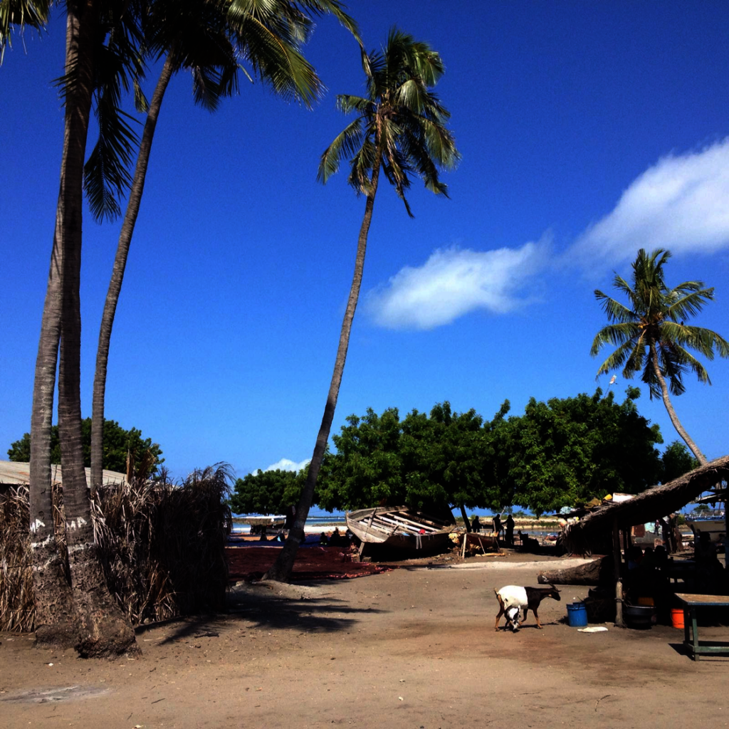 Provide Kids With Aftercare in Tanzania for 1 Year