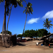 Kunduchi, Pwani fishing village