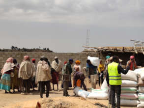 Distributing barley in Hawile village