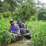 Volunteers look for wildlife during a canoe survey