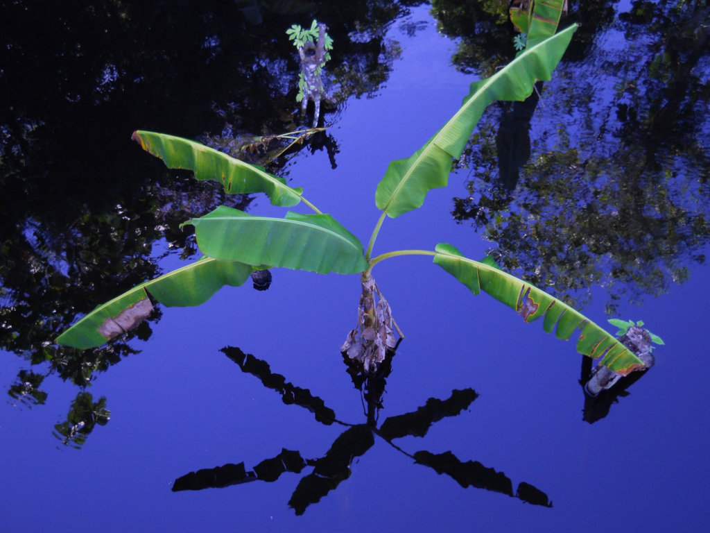 Climate Change Along the Amazon River