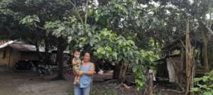 Women reaping benefits from trees