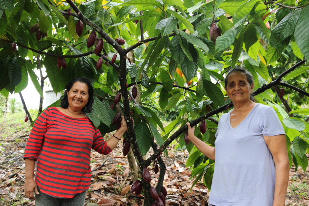 Agro-Forestry Project for Indigenous of Honduras