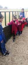 Having fun in the Livestock Enclosure
