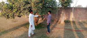 Enjoying the fruits
