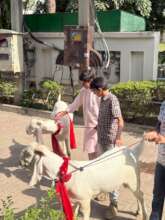 Sharing some love with the Goats