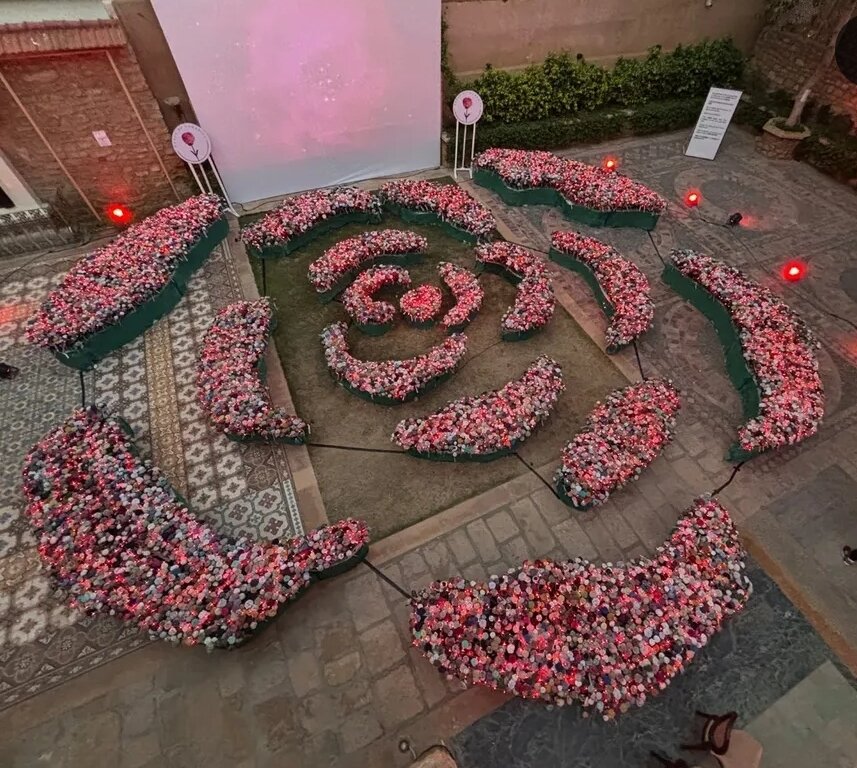 Roses of Humanity - Installation