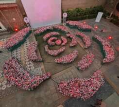 Roses of Humanity - Installation