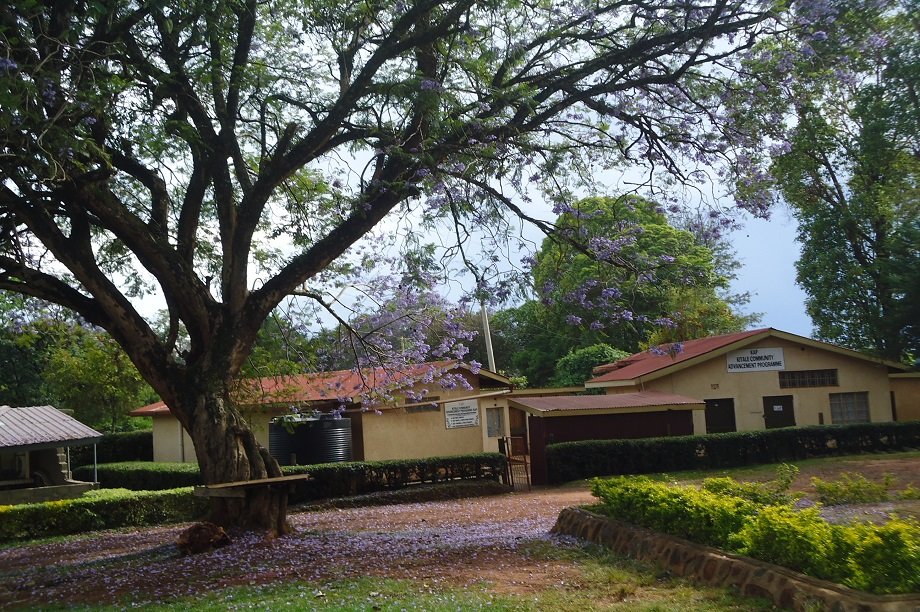 Enhance (mental) health of 1,358 Kenyan youths