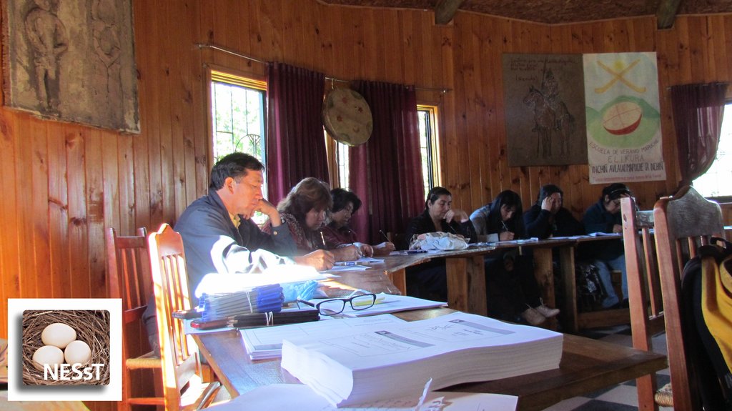 NESsT Business Plan Workshop