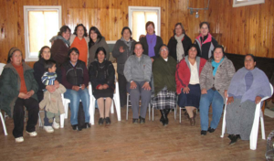 Relmu Witral Weavers