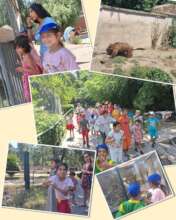 Visit to the ZOO
