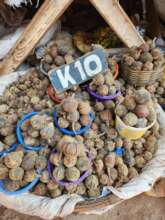 Azanza, a nutritious indigenous fruit, for sale