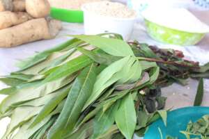 Cassava leaves