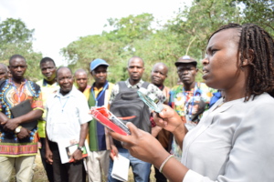 Ludy leads practical seed collection exercise