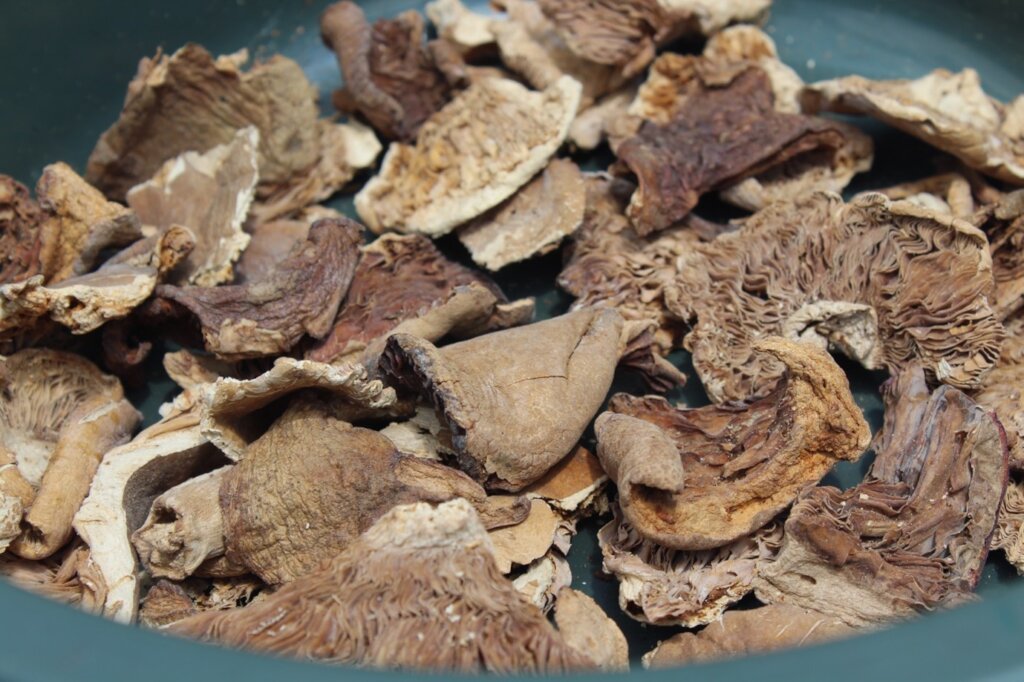 Dried mushrooms