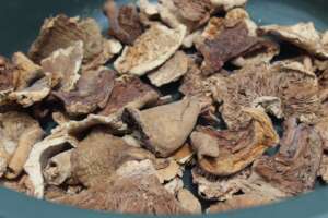 Dried mushrooms