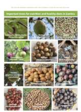 Look at the fruit diversity - a page from our book