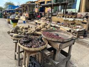Baobab, Ziziphus and tamarind for sale