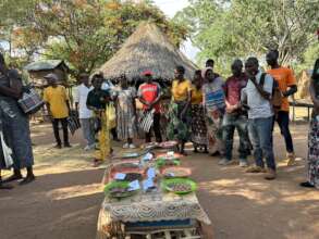 The field trip for seed collection