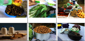 Diverse meals and hygiene fuel wellness