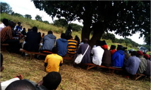Training farmers on indigenous food trees